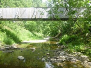 La Vigile verte fait des trouvailles inusitées dans une rivière