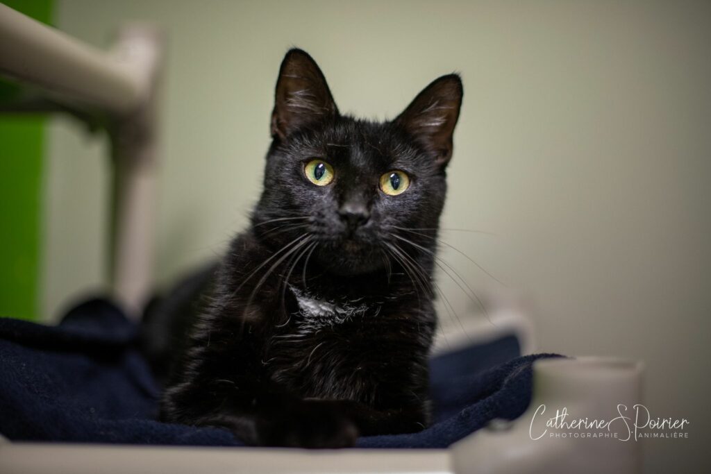 Agnes, la vedette de la semaine