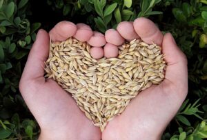 Fonds d&rsquo;appui au développement des régions : la Montérégie prête à recevoir des projets