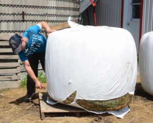 Projet régional de récupération des plastiques agricoles