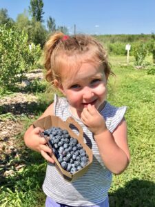 Rencontre avec les maraichers