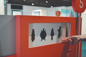 ArchéoMusée Roussillon : un grand voyage familial… dans le temps !