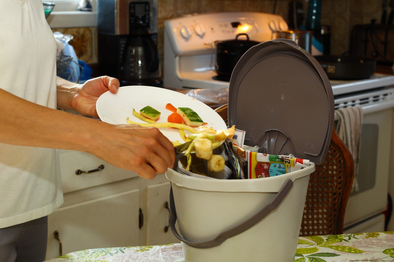 Pas sorcier d’utiliser le bac brun selon des utilisateurs