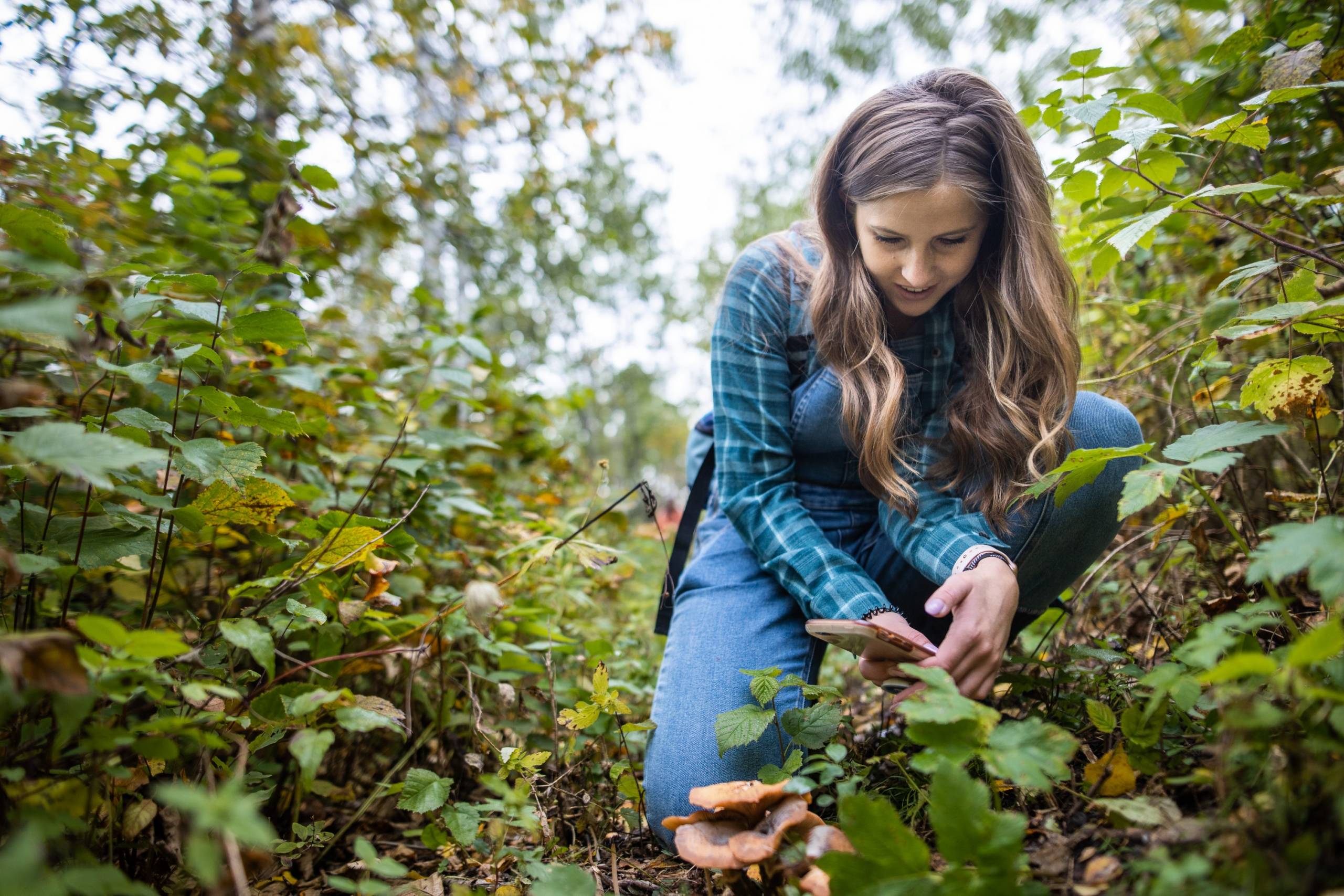 Le Grand BioBlitz du 1er au 5 août : donner un coup de pouce à la nature