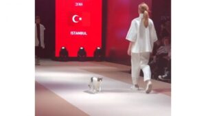 Être au bon endroit au bon moment