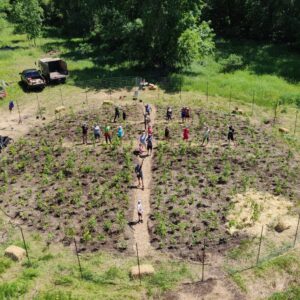 Une forêt en héritage