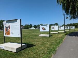 *RETROUVÉ – Un Laprairien disparu en Ontario