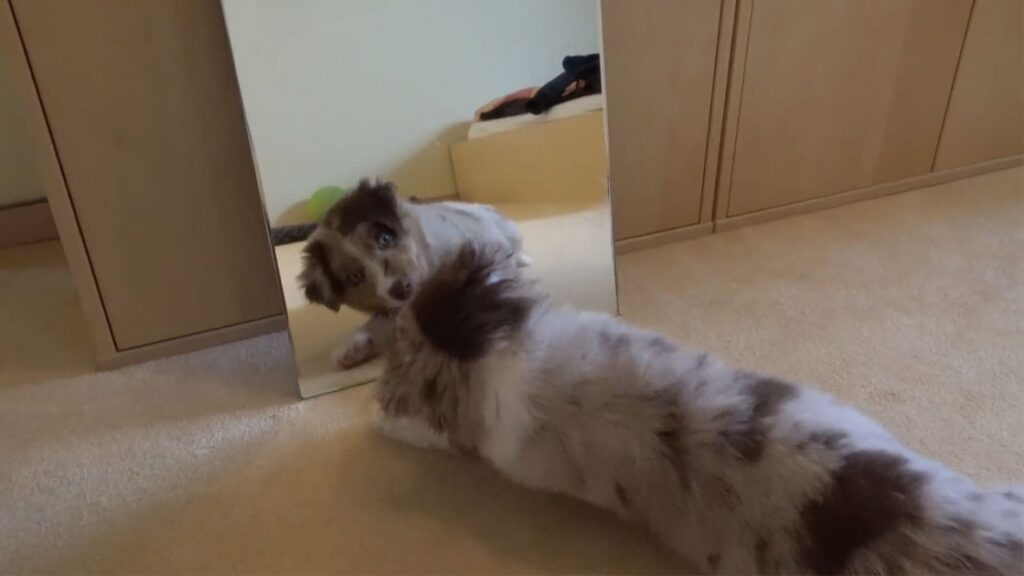 C’est donc à ça que je ressemble?