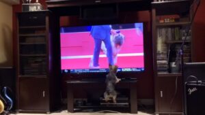 Et moi, ce sera quand mon tour?