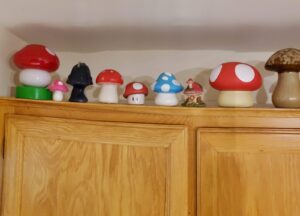 De mignons champignons, tout partout