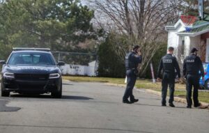 Un chat attaqué mortellement par un chien à Saint-Constant