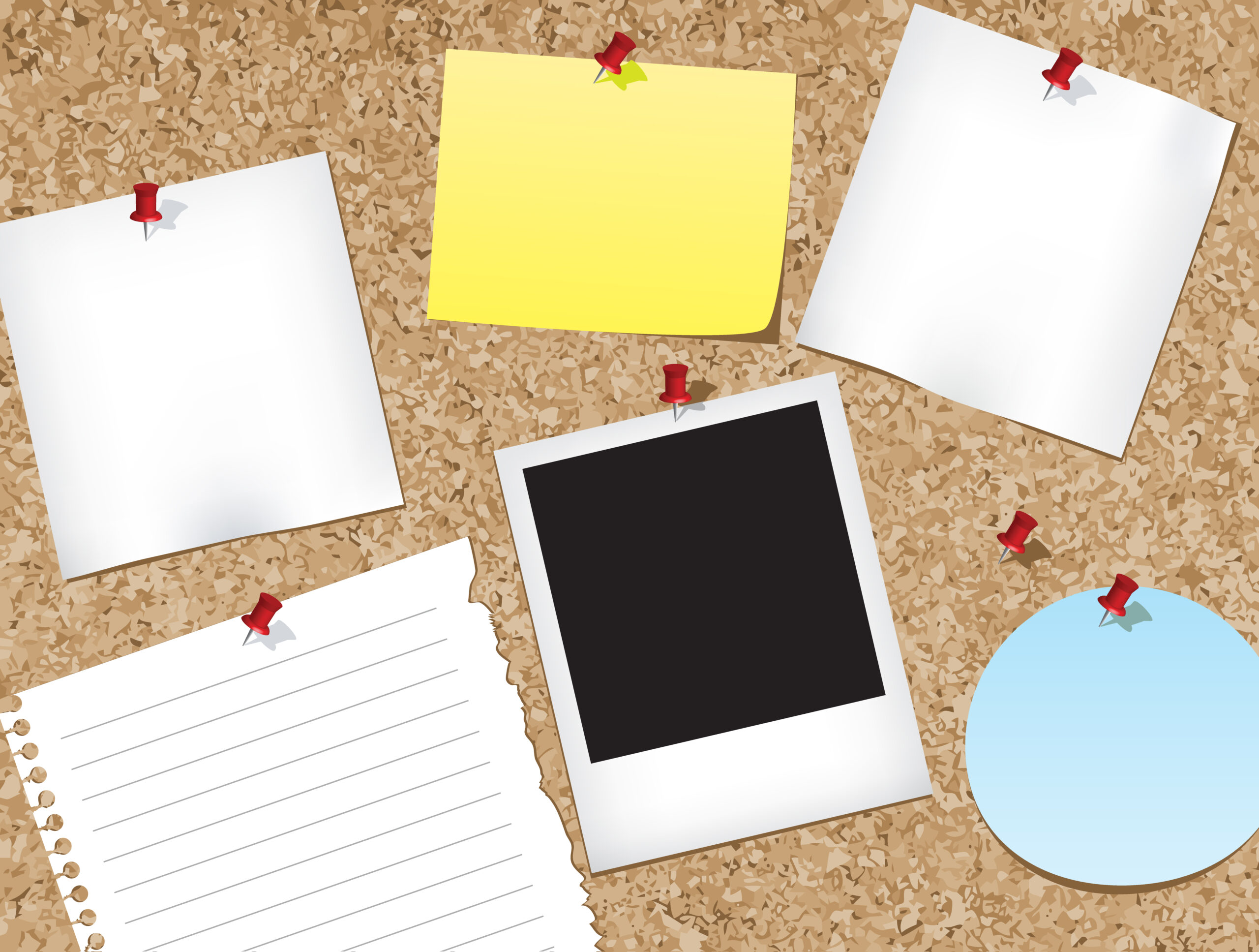 Babillard du 12 février 2020