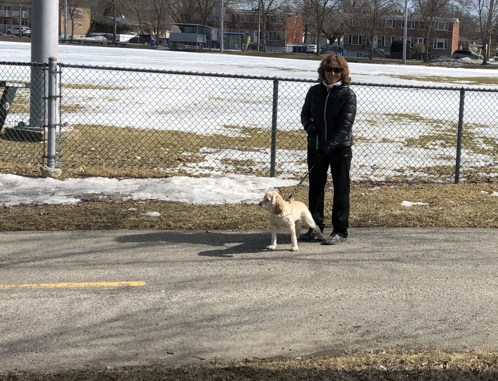 La COVID-19 et les chiens
