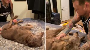 Fais-moi bouger ou abandonne!