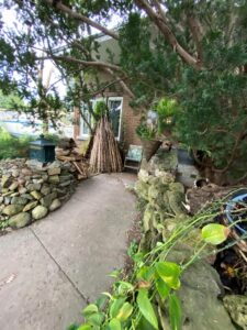 Billet d&rsquo;humeur : Chien heureux, maître heureux