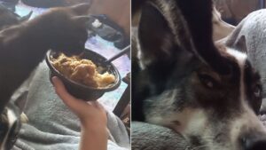 Juste la hauteur qu&rsquo;il faut!