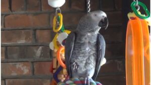 Je pense qu&rsquo;il y a un robinet qui coule