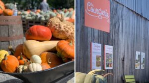 Cette ferme propose plus de 300 variétés de courges pour en faire l’autocueillette