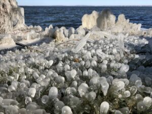 Le bord du lac Saint-Louis resplendit