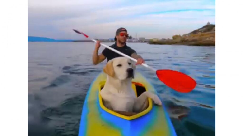 Le meilleur co-pilote dont on n’aurait pas pu rêver
