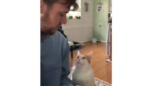 Le meilleur public qu’on ne pourrait pas avoir