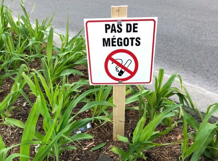 «Les pots de fleurs ne sont pas des cendriers !»