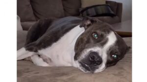 Le meilleur accompagnateur en ville!