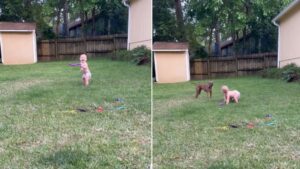 Des heures de plaisir à tourner en rond