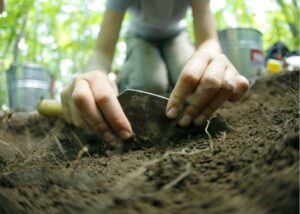 Un tête-à-tête avec cinq vedettes en 2023