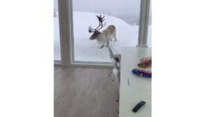 L’observatoire où tous les amateurs d’hiver rêvent d’aller