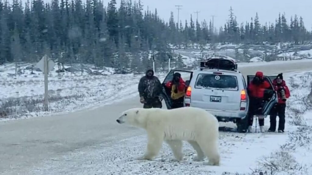 Les banalités des uns sont les émerveillements des autres