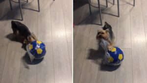 Personne pour m’aider, vraiment?