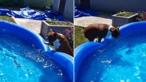 Compliquée, la première baignade de l’année?