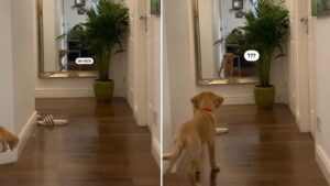 L’intrus… c’est lui ou c’est moi?