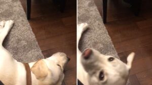 Tirée de son sommeil par passion