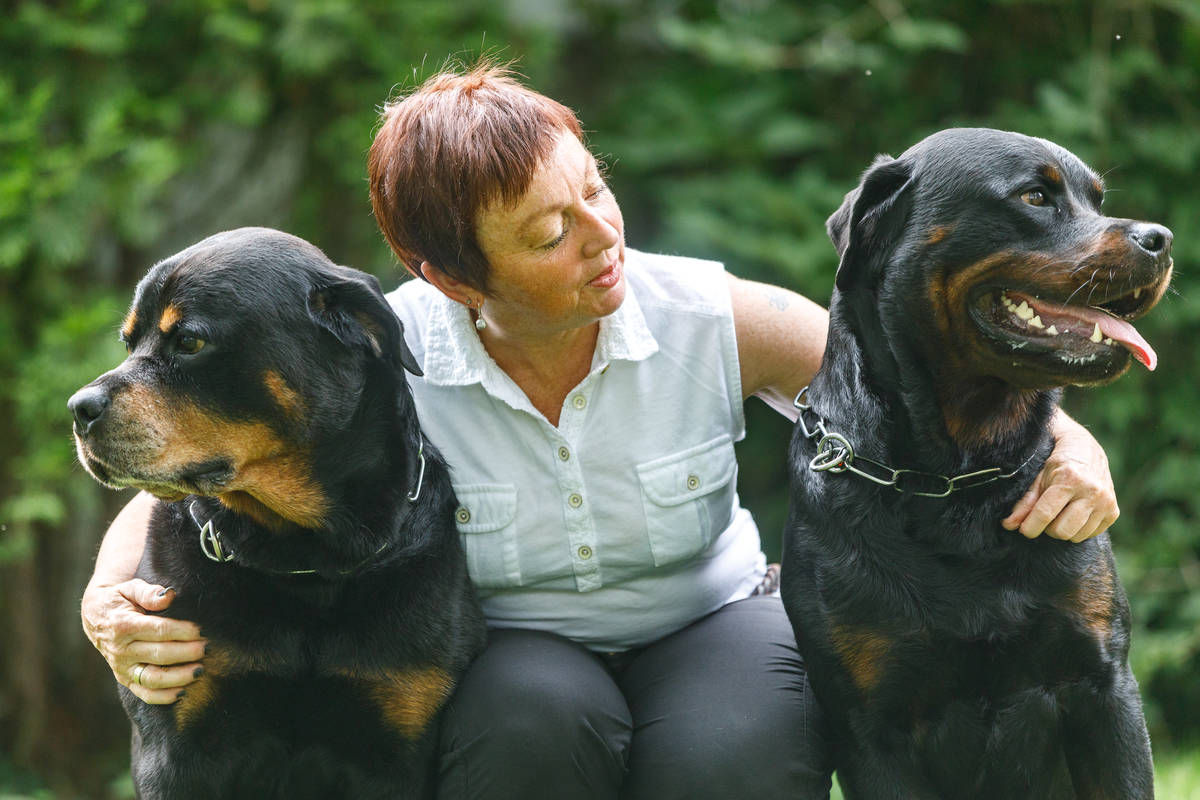 Ses deux rottweilers obéissent à tout commandement