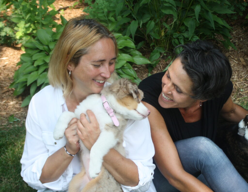 Décoder le langage canin pour éviter les morsures