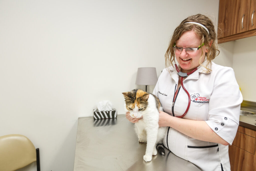 COVID-19 : l’Hôpital vétérinaire Roussillon change ses façons de faire