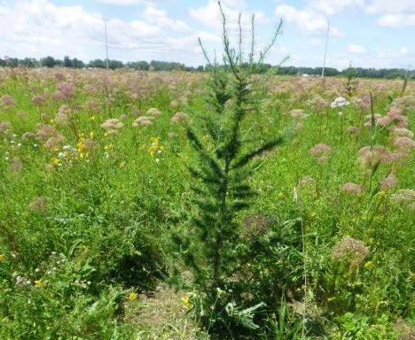 Actualité du 6 octobre: transport et environnement