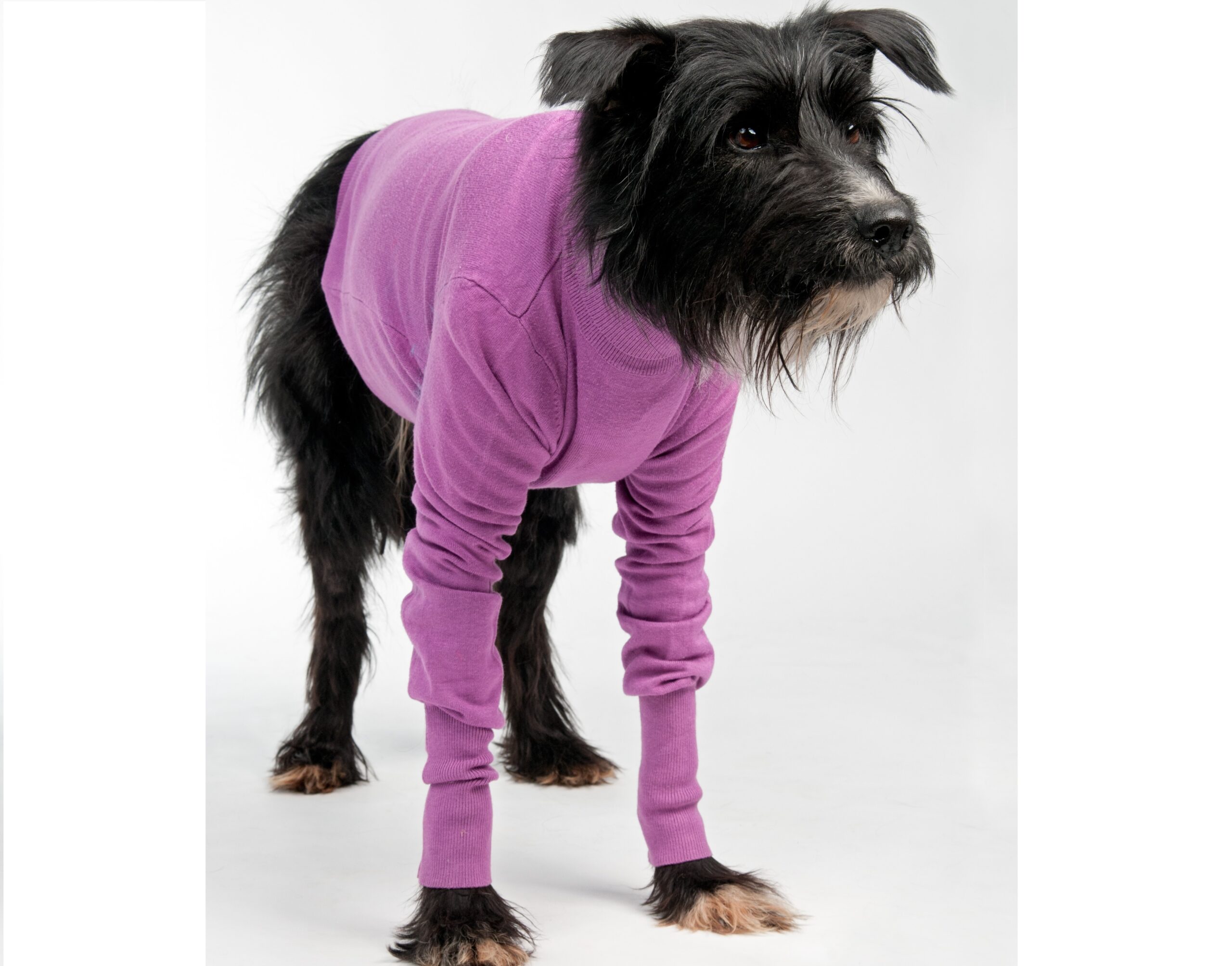 Billet d’humeur : entre deux saisons