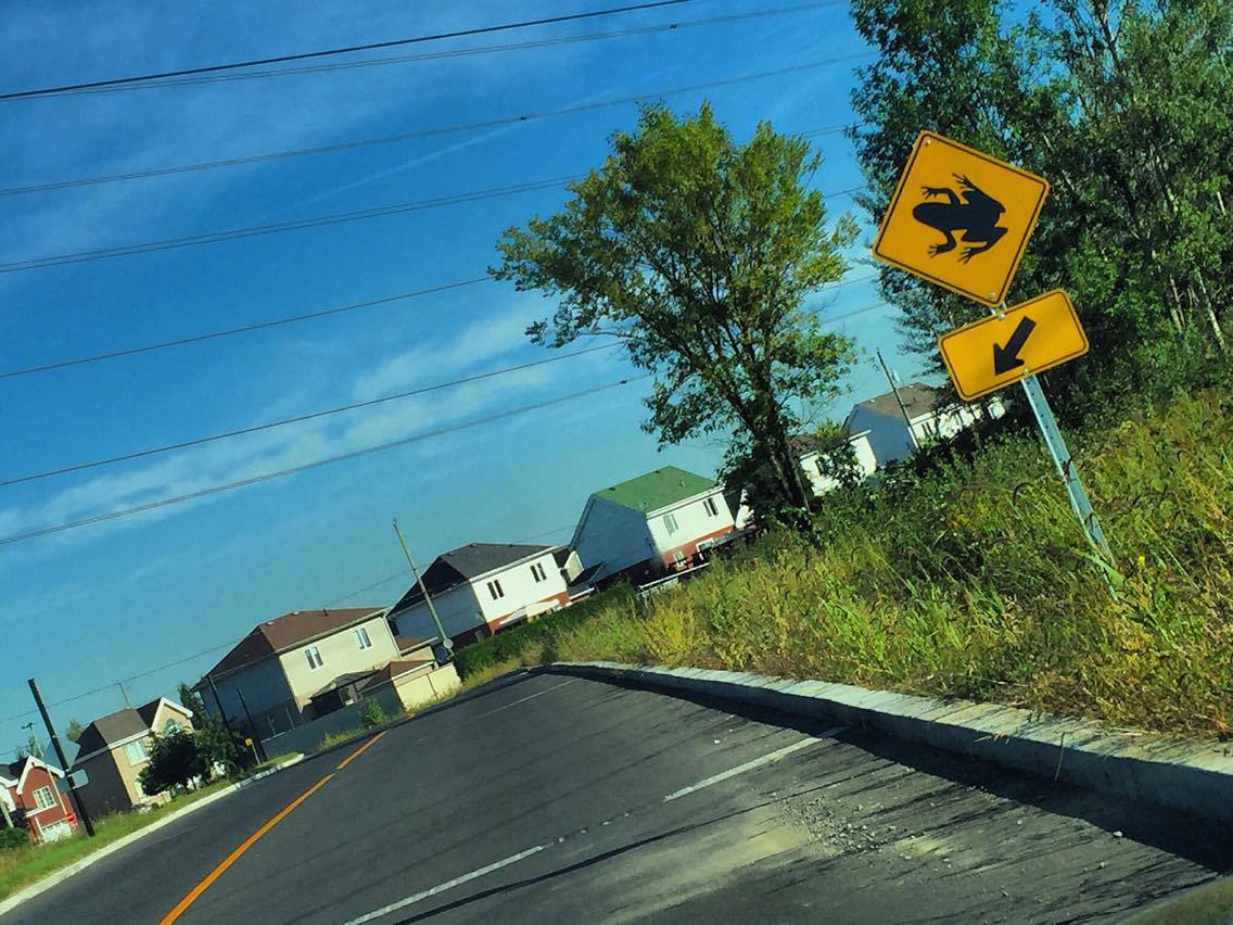 Des pancartes pour indiquer le passage de la rainette