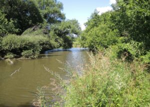 Les échos du conseil de Delson