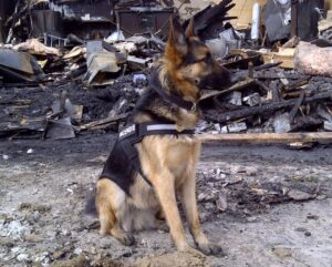Incendie Anatolia : la SQ sera à Saint-Rémi pour recueillir des informations