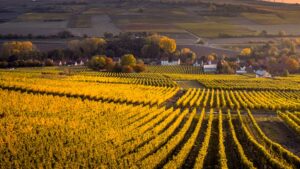 Transformez votre roadtrip dans Charlevoix en visite agricole