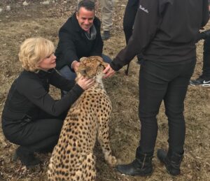 Le Parc Safari reçoit une aide de 12 M$ de Québec pour réaliser son plan de développement