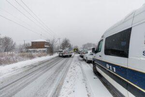 Une vingtaine de chiens saisis dans une maison insalubre de Brossard