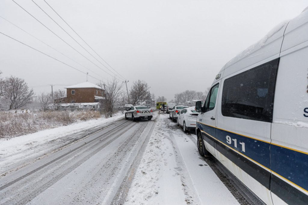 Une vingtaine de chiens saisis dans une maison insalubre de Brossard