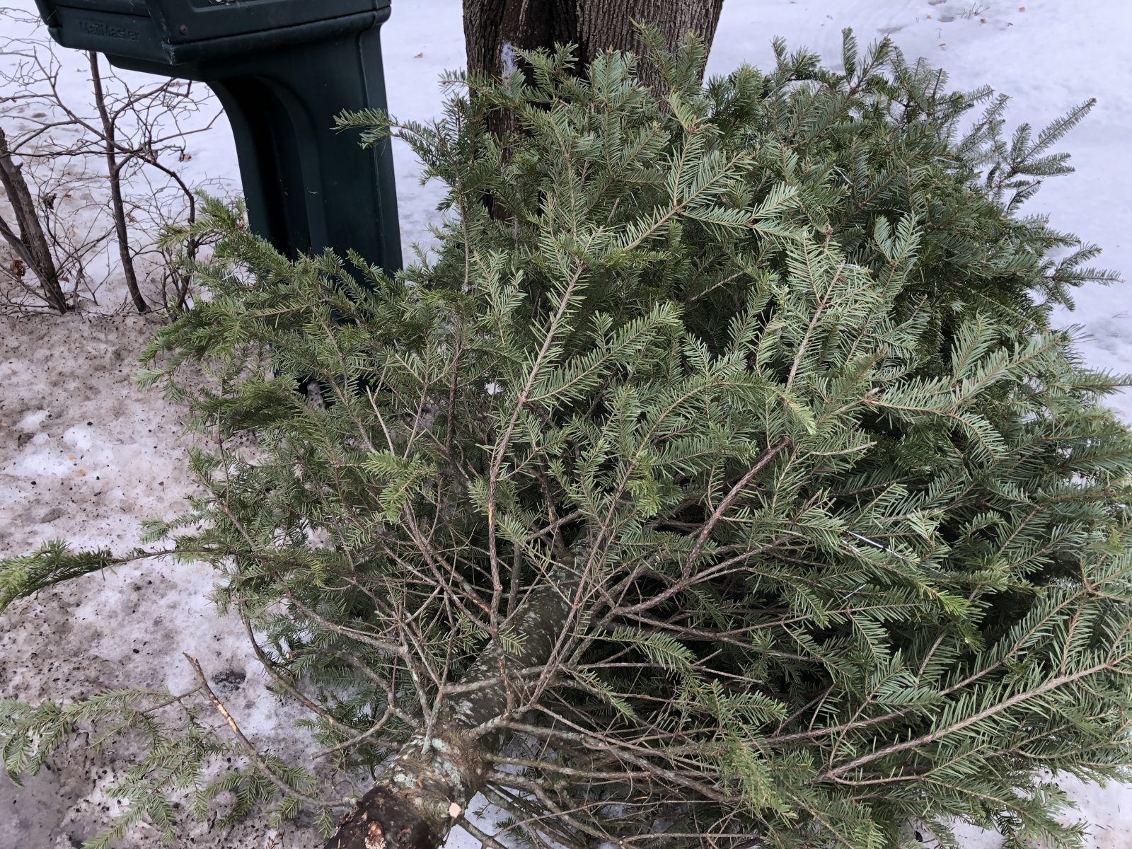 Les collectes à surveiller après les Fêtes
