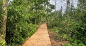 VIDÉO – Saint-Constant aménage un sentier en bois au Pavillon de la biodiversité