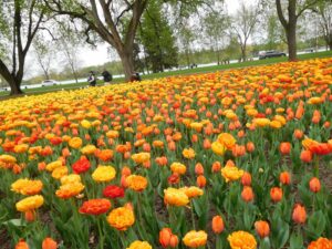 Les retraités du secteur public recrutent